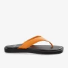 Cph791 Nappa