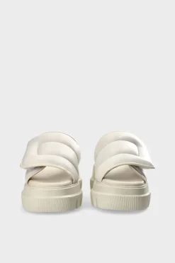 Cph836 Nappa