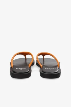 Cph791 Nappa